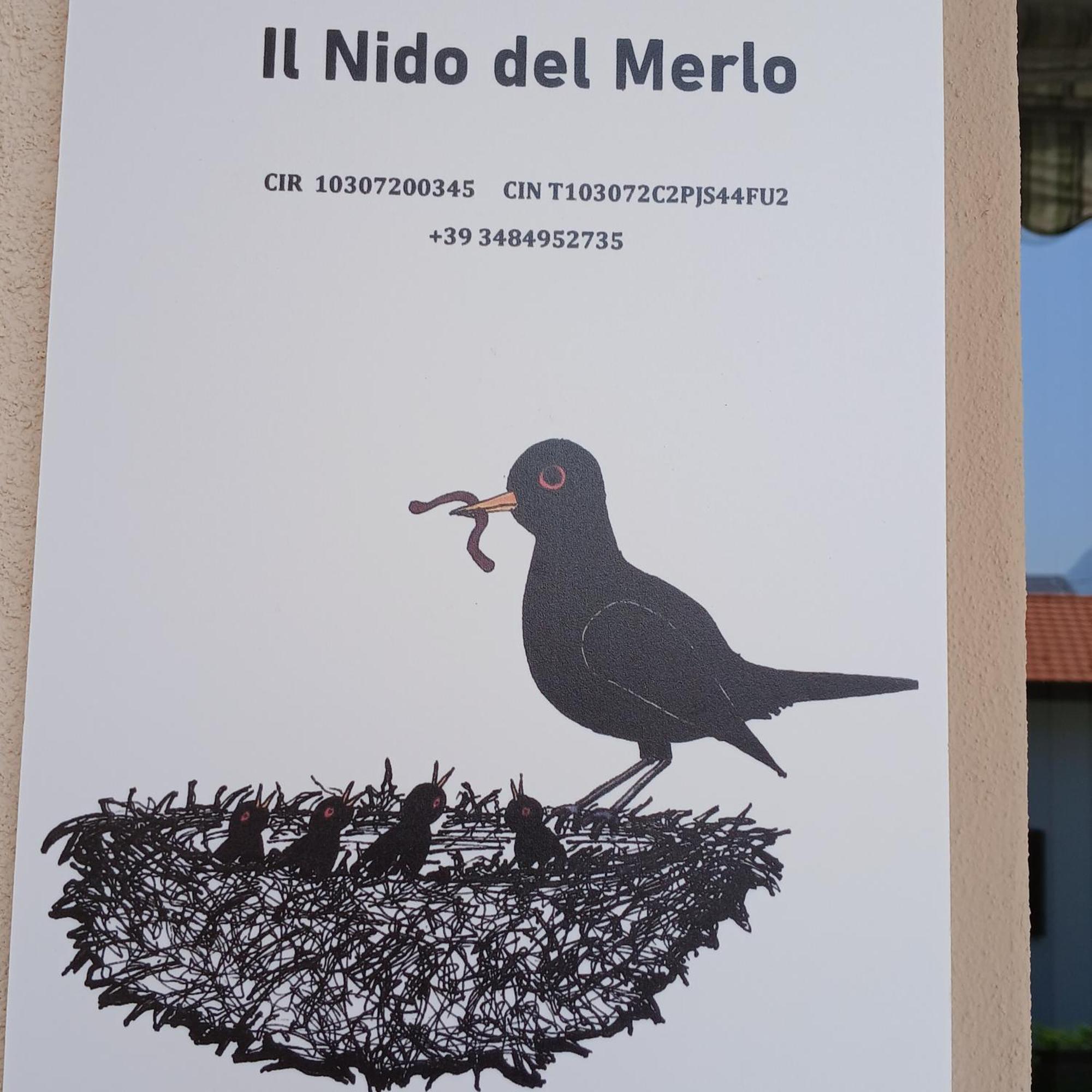 Il Nido Del Merlo Parcheggio E Giardino Verbania Exterior photo